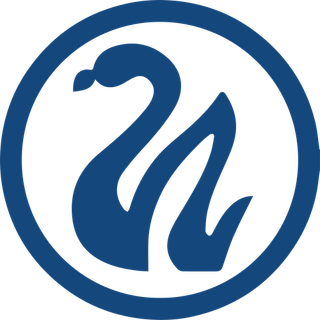 Swan Energy Limited logo